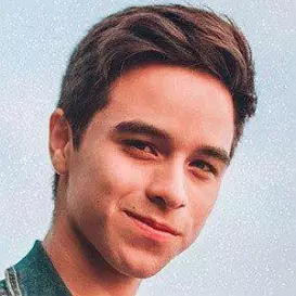 Brando Gallesi net worth