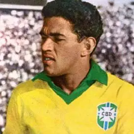 Garrincha net worth