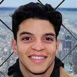 Louis Giordano net worth