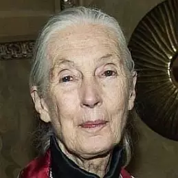 Jane Goodall net worth