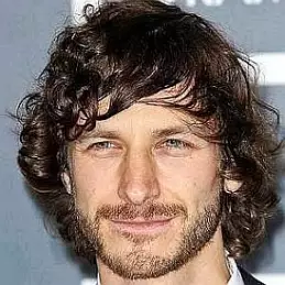 Gotye net worth