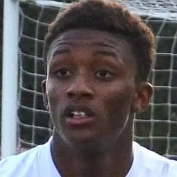 Demarai Gray net worth