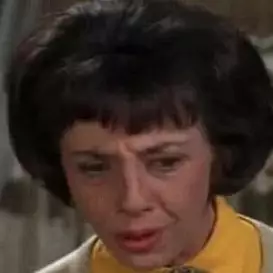 Ann Morgan Guilbert net worth