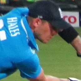 Alex Hales net worth