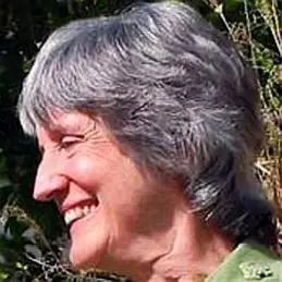 Donna Haraway net worth
