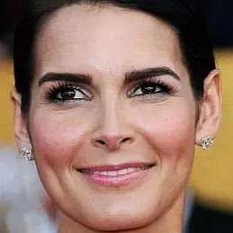 Angie Harmon net worth