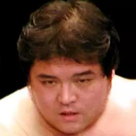 Shinya Hashimoto net worth