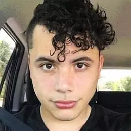 HeyItsDennis net worth