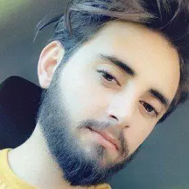 Karzan Hisham net worth