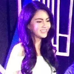 Davika Hoorne net worth