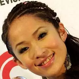 Elva Hsiao net worth