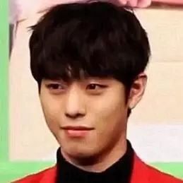 Ahn Hyo-seop net worth