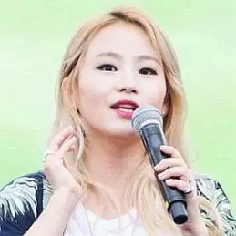 Jo Hyun Ah net worth