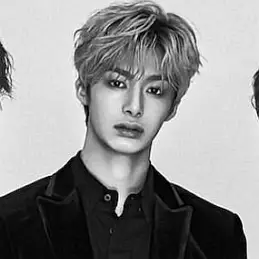 Chae Hyung Won net worth