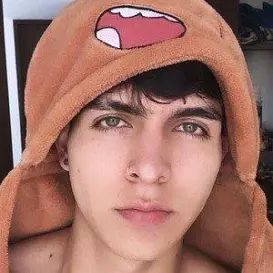 Daniel Ibarra net worth