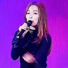 Somin Jeon net worth