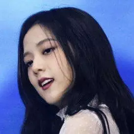 Kim Jisoo net worth