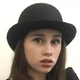 Hollis Johnson net worth