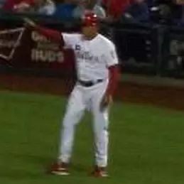 Wally Joyner net worth