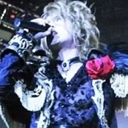 Kamijo net worth