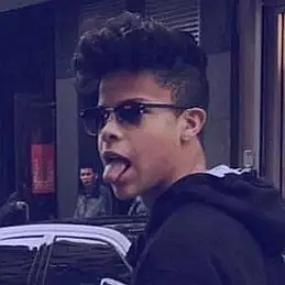 KaneSebastian net worth