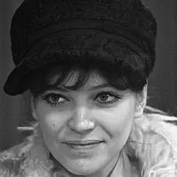 Anna Karina net worth