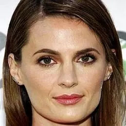 Stana Katic net worth