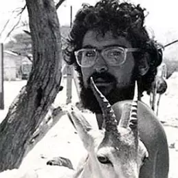 Steve Katz net worth