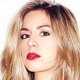 Ashley Kelsey net worth