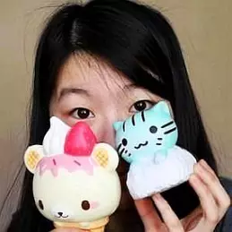 Ketchupgiri net worth