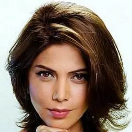Hadiqa Kiani net worth