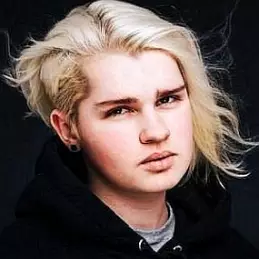 Karlos Kolk net worth