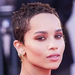 Zoe Kravitz net worth