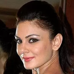 Aanchal Kumar net worth