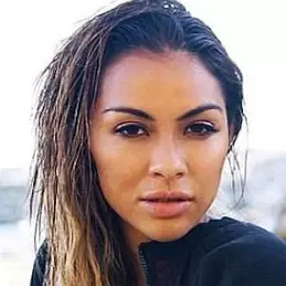 Dominique le Toullec net worth