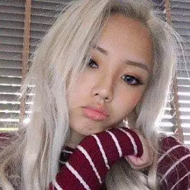 Vyvan Le net worth