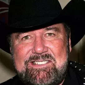 Johnny Lee net worth