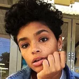 Aiyana A. Lewis net worth