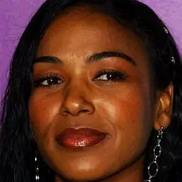 Ananda Lewis net worth