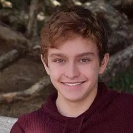 Gavin Lewis net worth