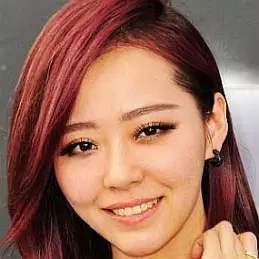 Zhang Liangying net worth