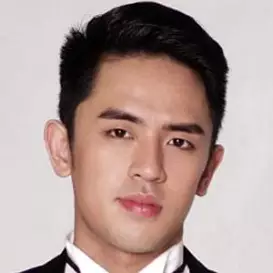 David Licauco net worth