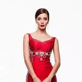 Virginia Limongi net worth