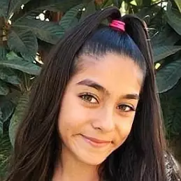 Mercedes Gem net worth