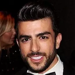 Harry Louis net worth