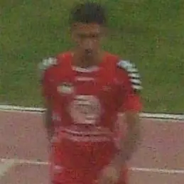 Hossein Mahini net worth