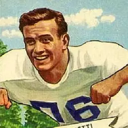 Gino Marchetti net worth