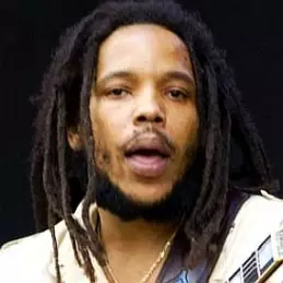 Stephen Marley net worth