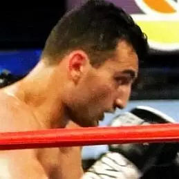 Vanes Martirosyan net worth