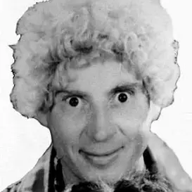 Harpo Marx net worth